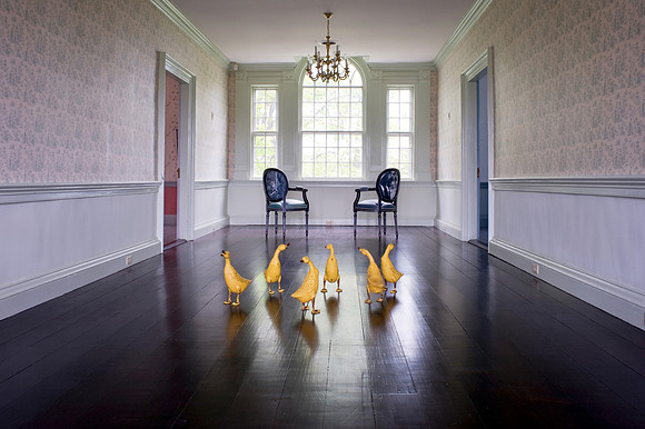 Six yellow cast iron ducks on floor of wide hallway with windows .